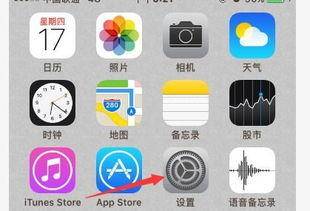 苹果手机PVN设置攻略 苹果手机PVN设置攻略-图片2